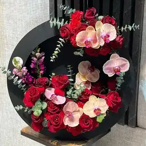 باکس-گل-کارول