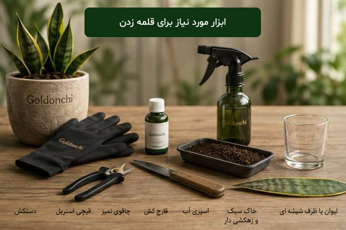 ابزار-مورد-نیاز-قلمه-سانسوریا