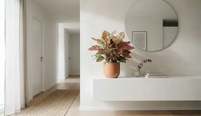 آگلونما-تصفیه-کننده-هوا